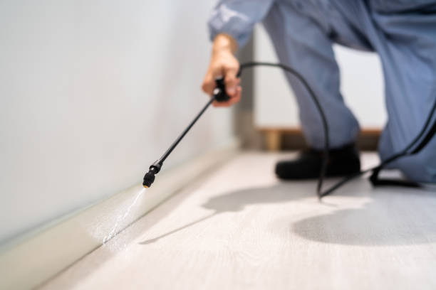 Licensed Rodent Control service in Benson, MN - Nex Pest Control