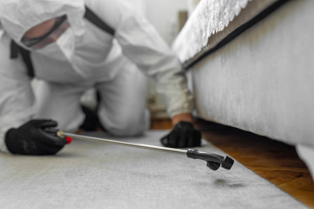 Professional Rodent Control technician working in Benson, MN