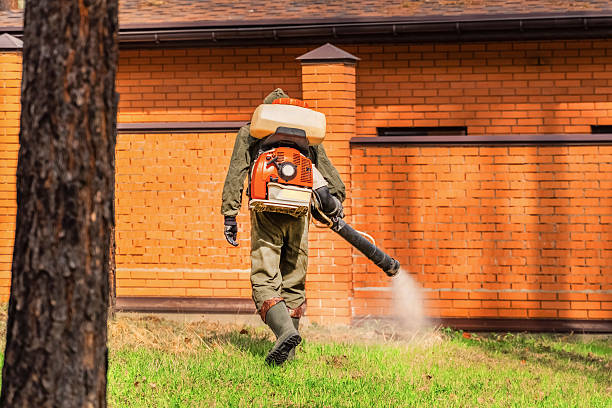 Top rated local Rodent Control specialists in Benson, MN